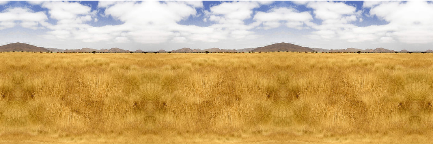 Banner de pasto natural